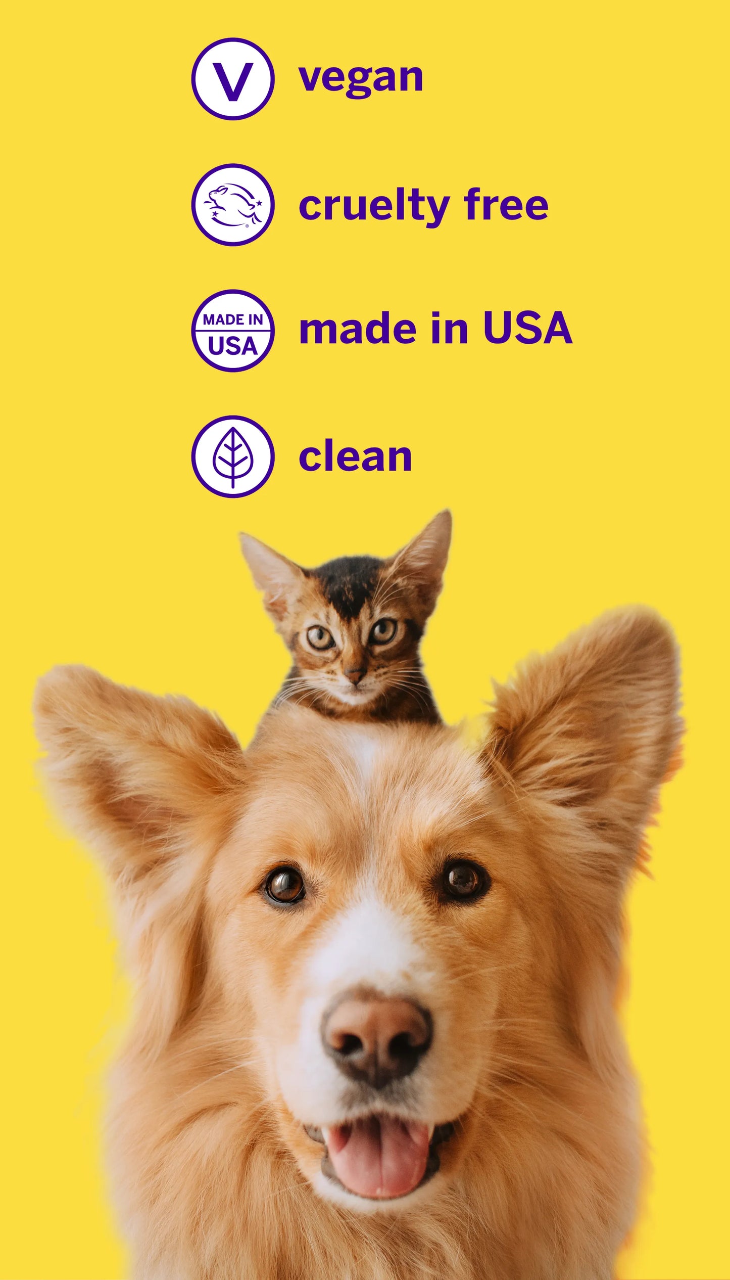 3. Professional Pet Toothpaste