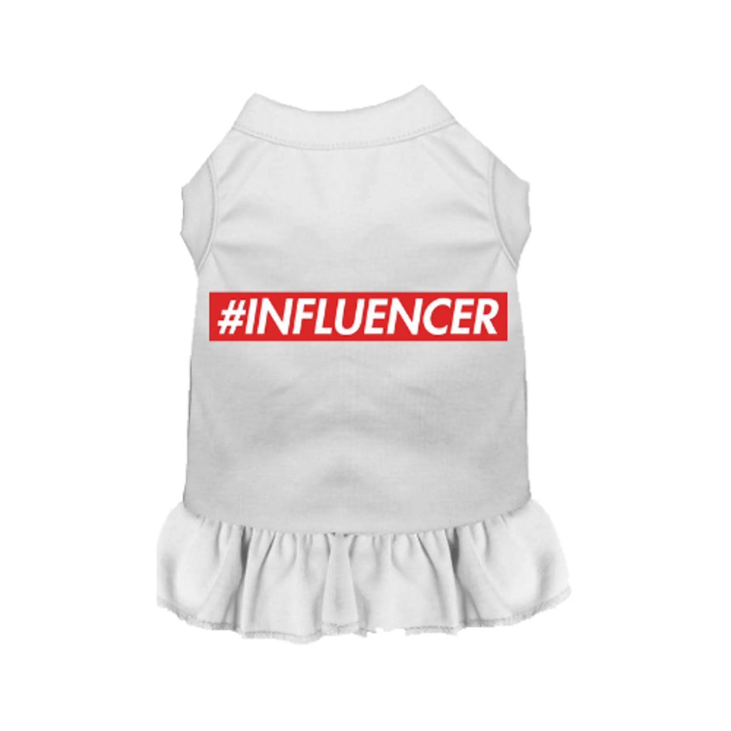 INFLUENCER