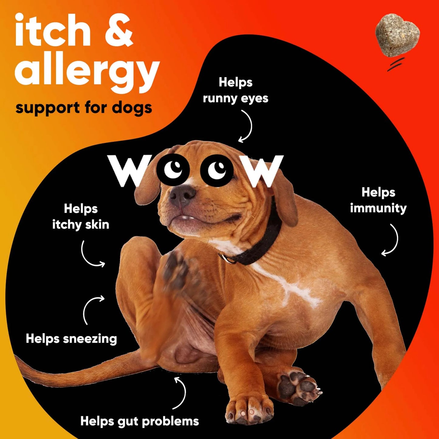 1. Dr Woow Allergy and Immunity Soft Chews