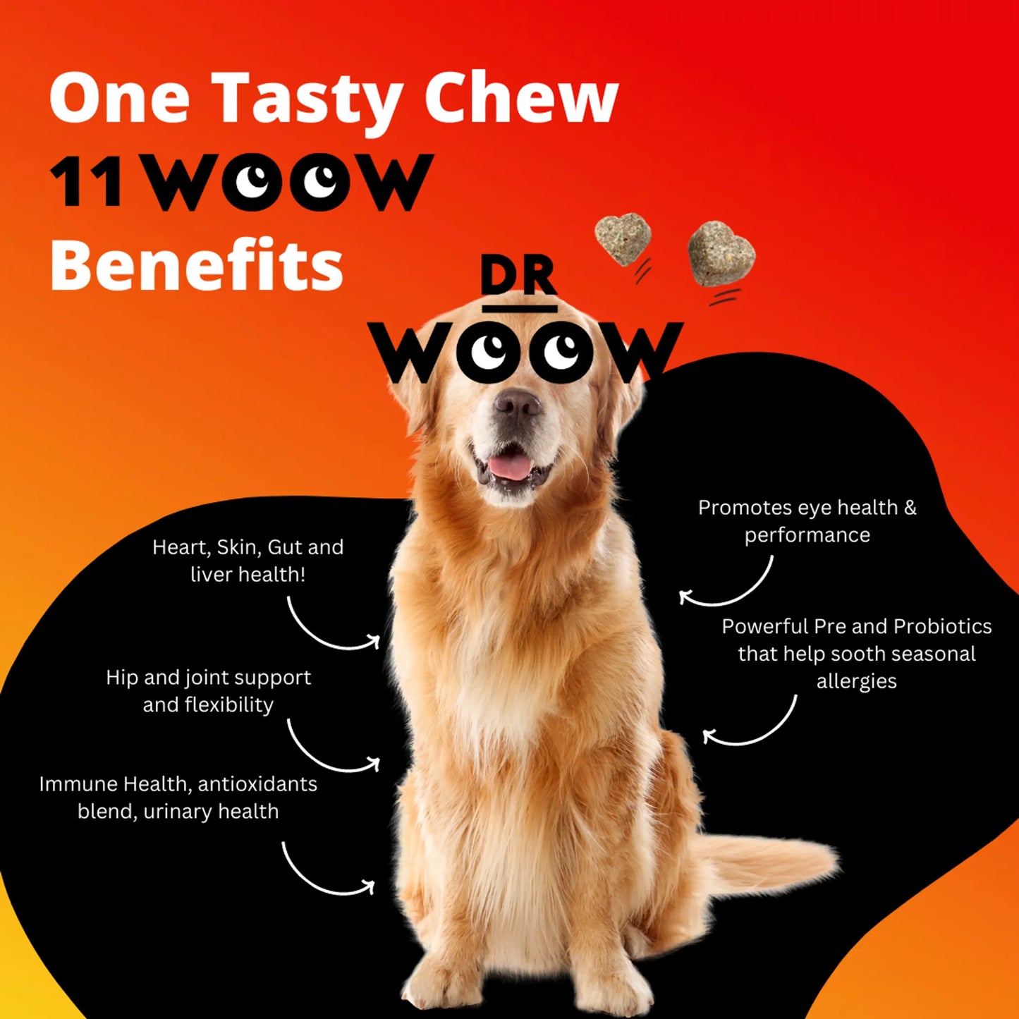 1. Dr Woow Multifunctional 11-in-1 vitamin chews