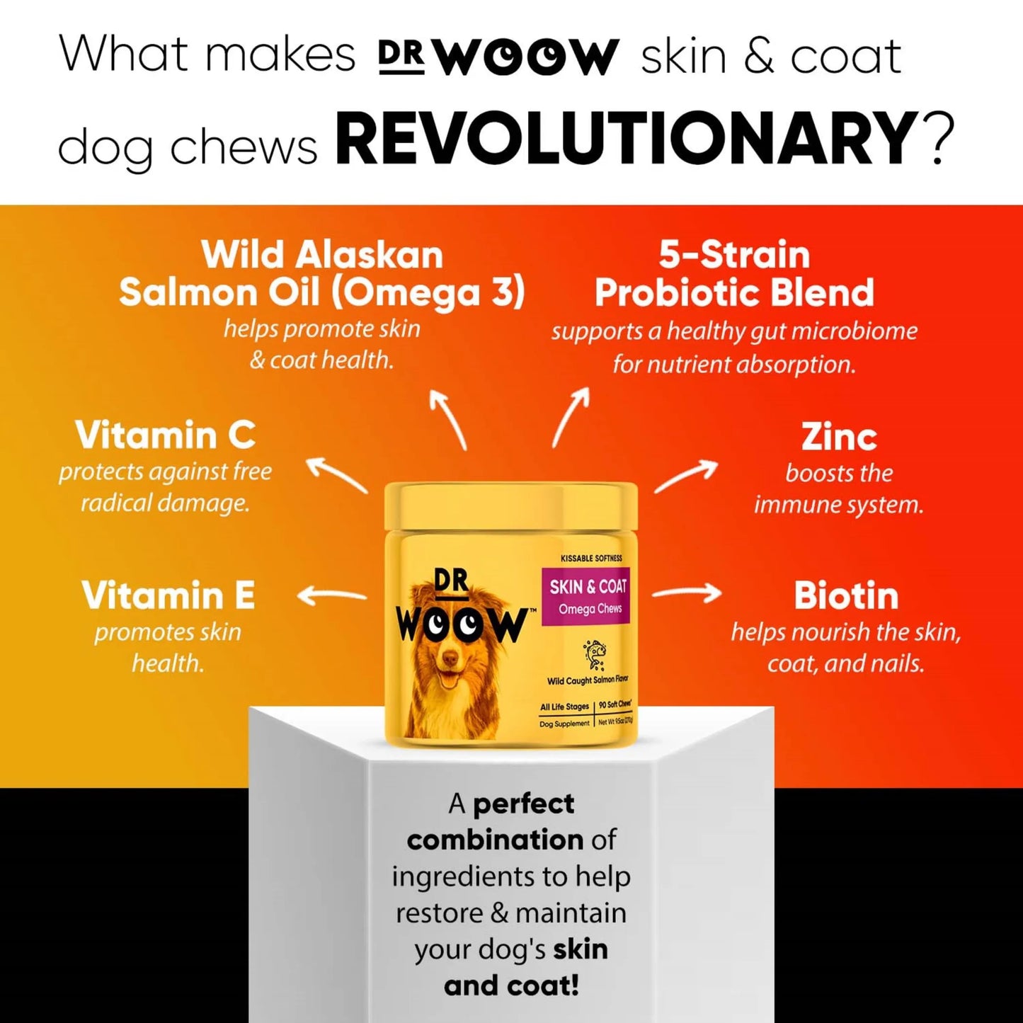 1. Dr Woow Skin and Coat Soft Chews