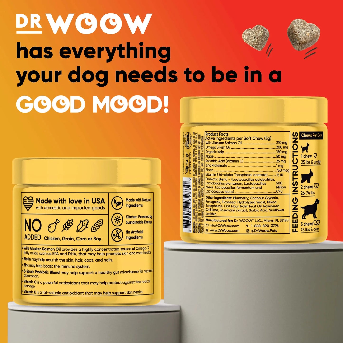 1. Dr Woow Skin and Coat Soft Chews