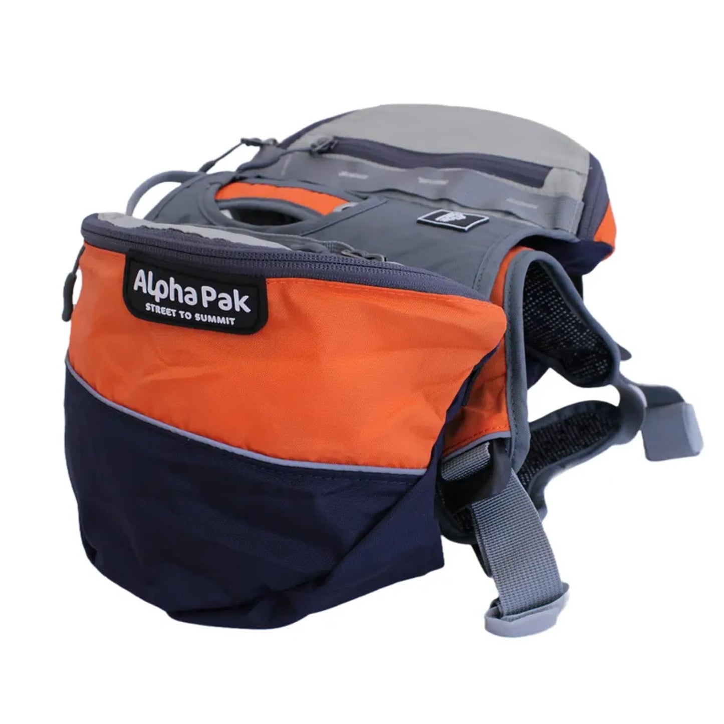Adventurer 2-piece Dog Pack With EZ Latch Harness