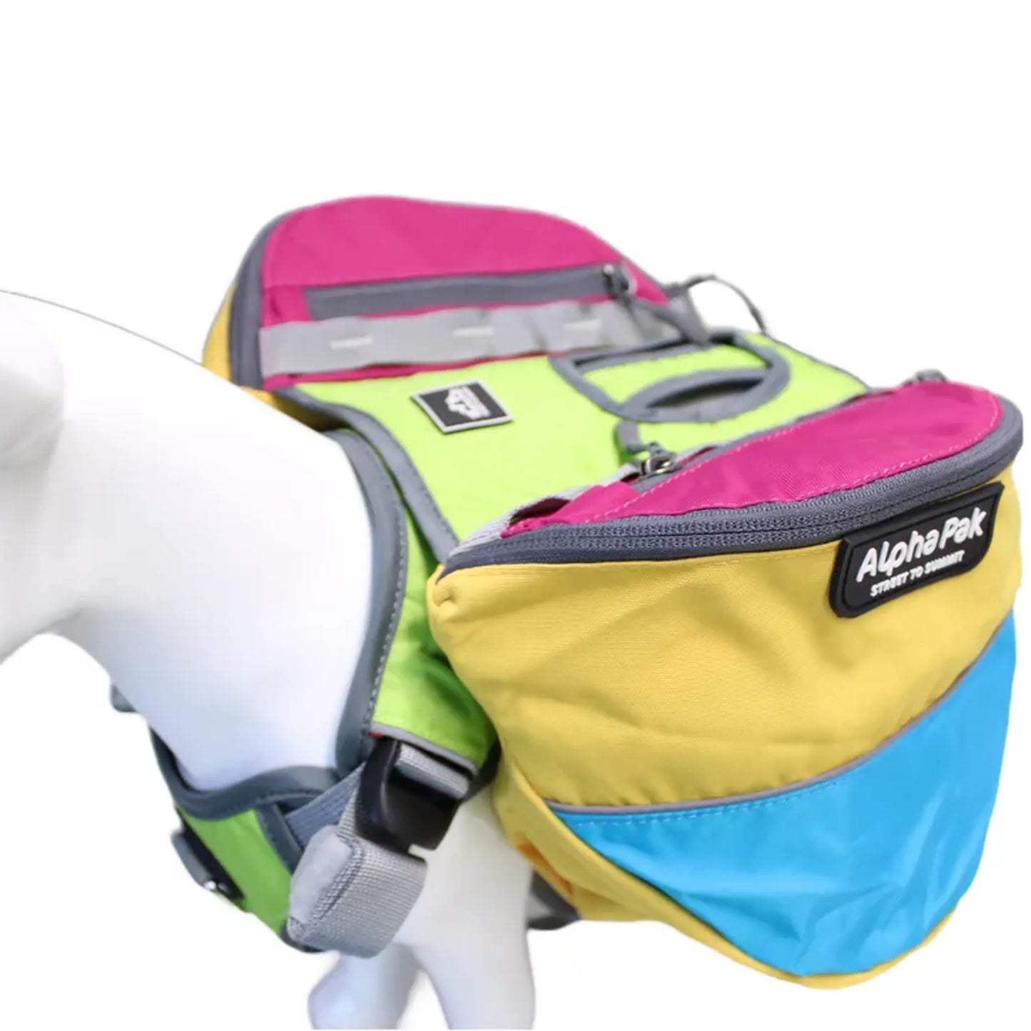 Adventurer 2-piece Dog Pack With EZ Latch Harness