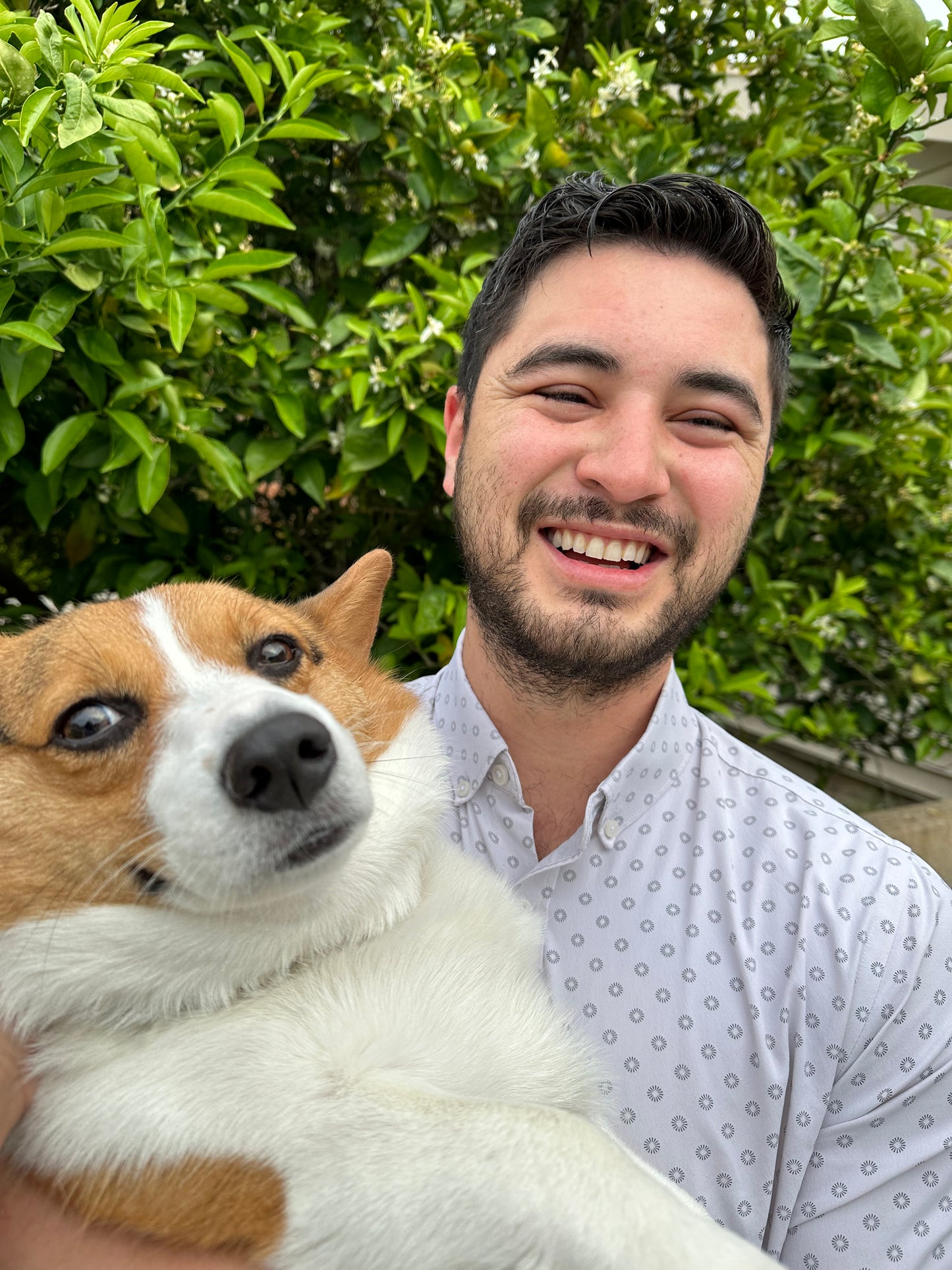 Shadow Our Veterinarian's Daily Life