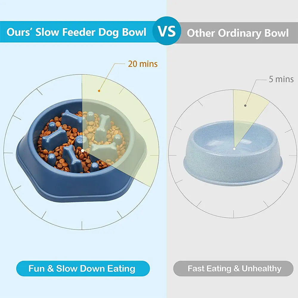 Slow Feeder Bone Pet Bowl