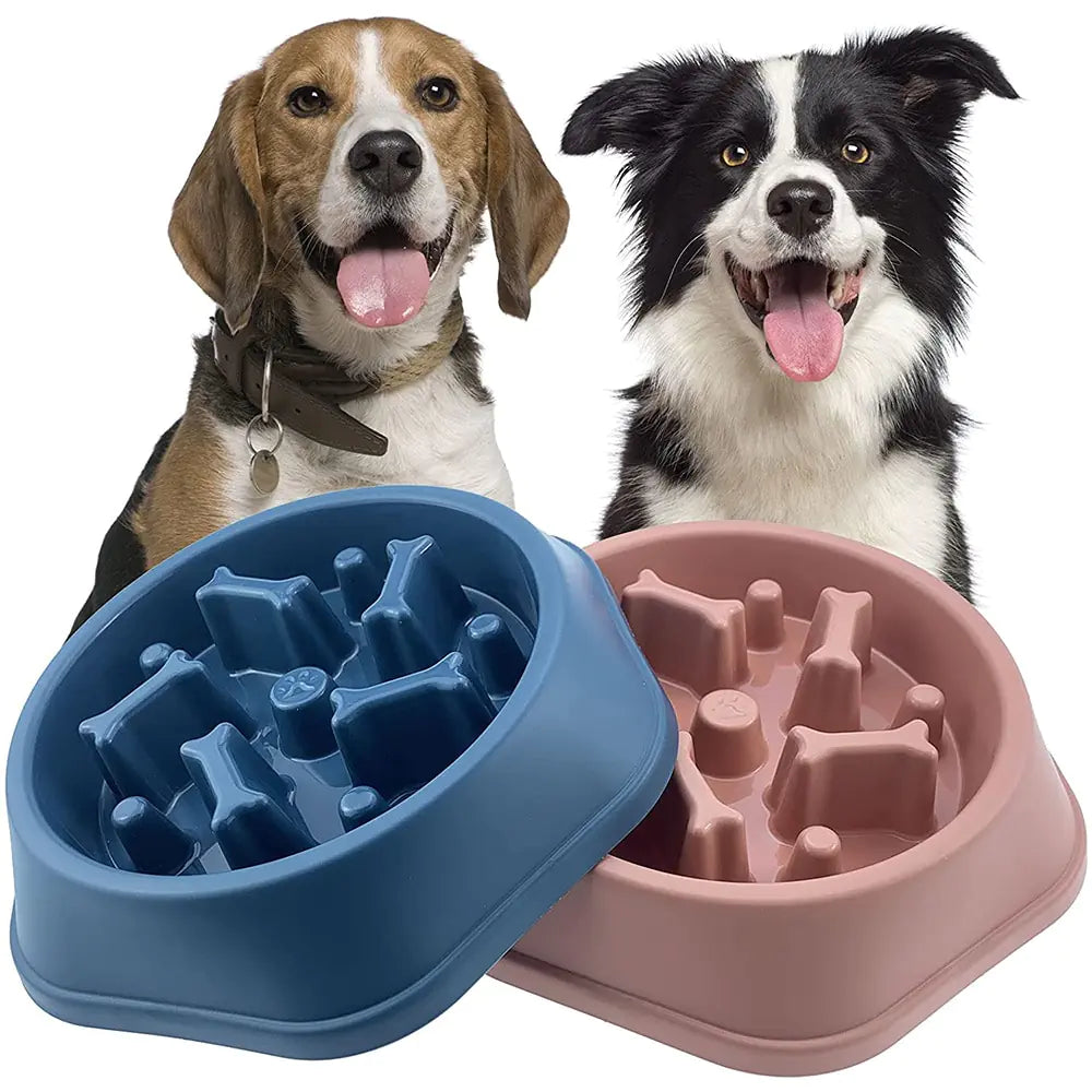 Slow Feeder Bone Pet Bowl