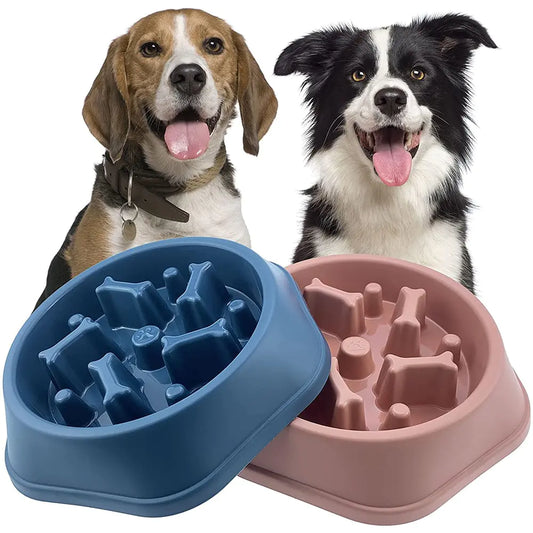 Slow Feeder Bone Pet Bowl